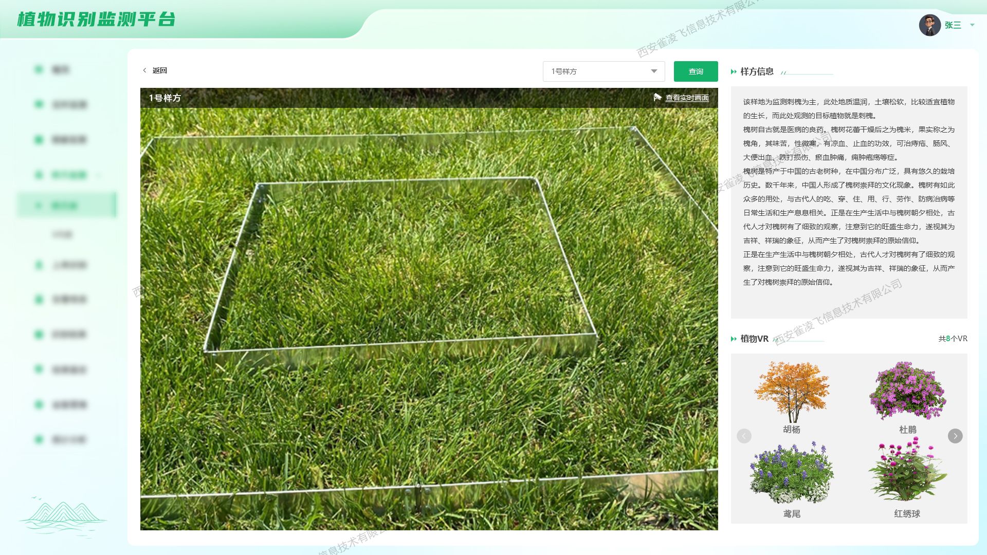 植物识别样方监测
