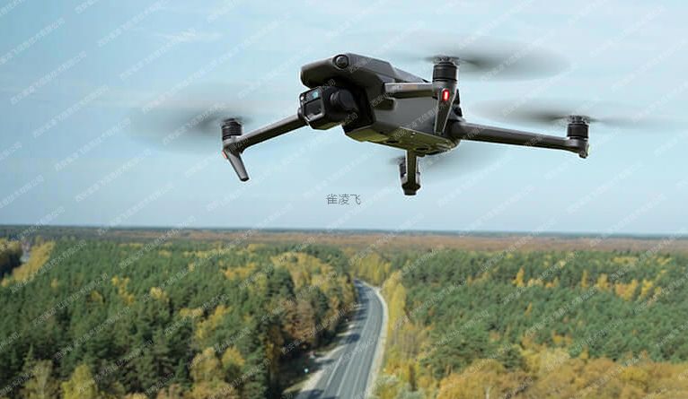 林区枯立木监测