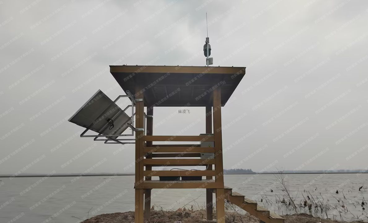 AI智能水鸟识别