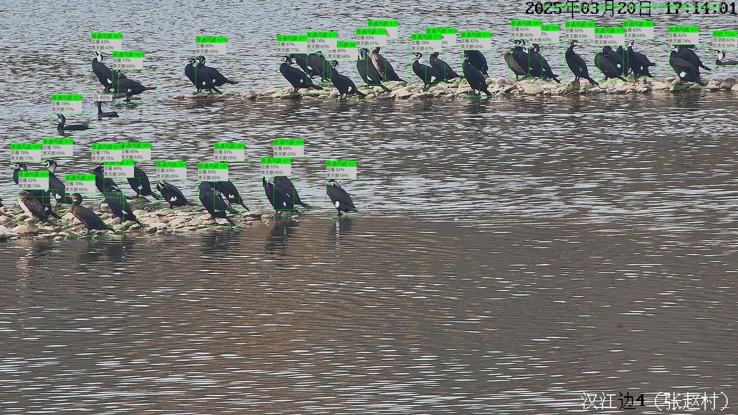 筑牢生态安全屏障：水清岸绿处 百鸟引“巢”来